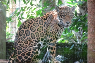 t_IMG_8004.jpg